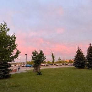 Meet your Posher, Peyton